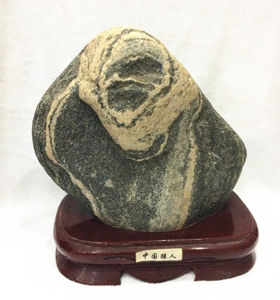 中國(guó)猿人.jpg