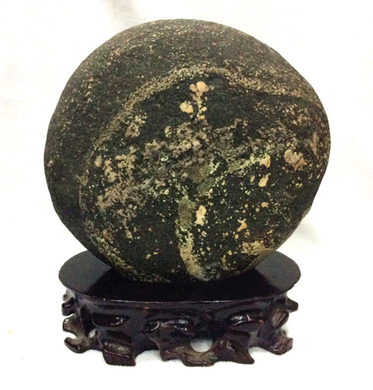 搖錢(qián)樹(shù).jpg