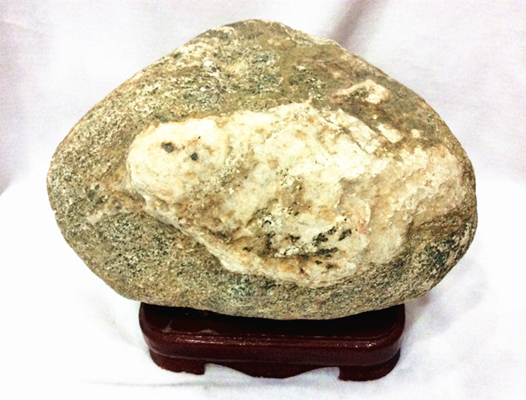 金魚(yú).jpg