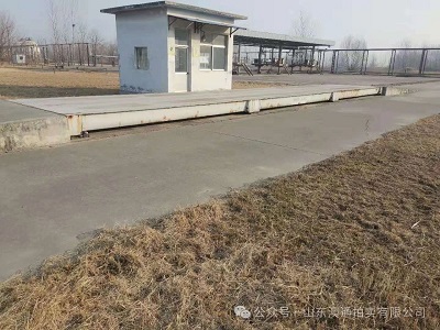 009.jpg